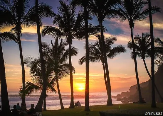 plage grande anse la réunion