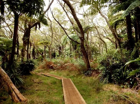 randonnée à la réunion