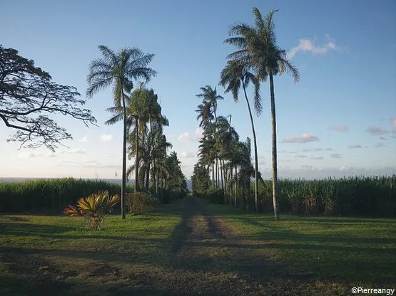 domaine grand Hazier La Réunion