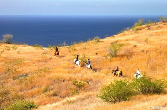 balade à cheval la réunion