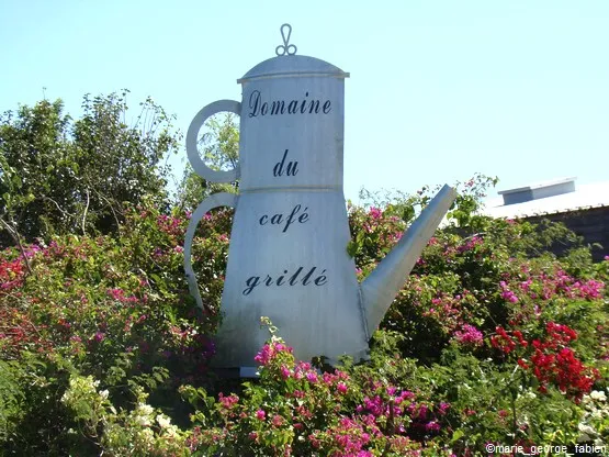 musee domaine du café grillé