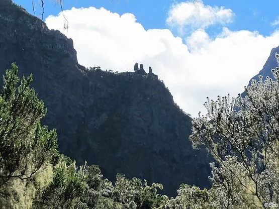 randonnée la réunion