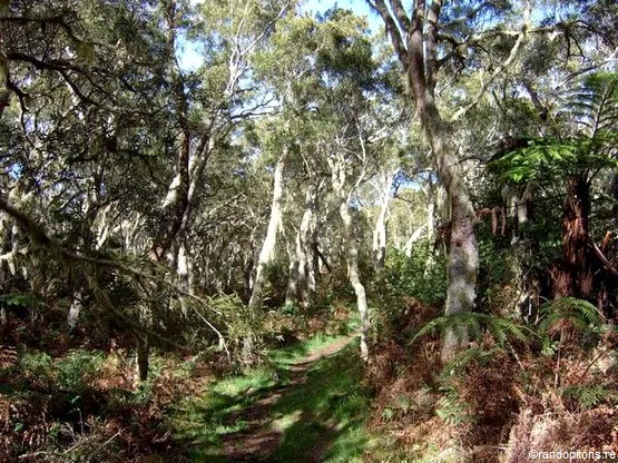 sentier du Gol