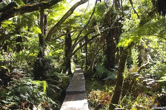 sentier la réunion