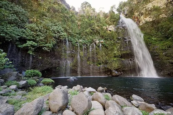 bassin la réunion