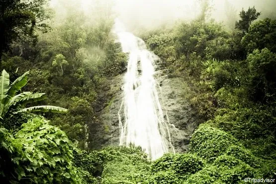 cascade voile de la mariée