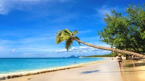 plage martinique