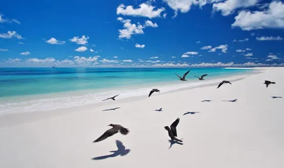 Plage de Bird-Island