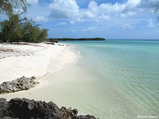 ile Picard à Aldabra