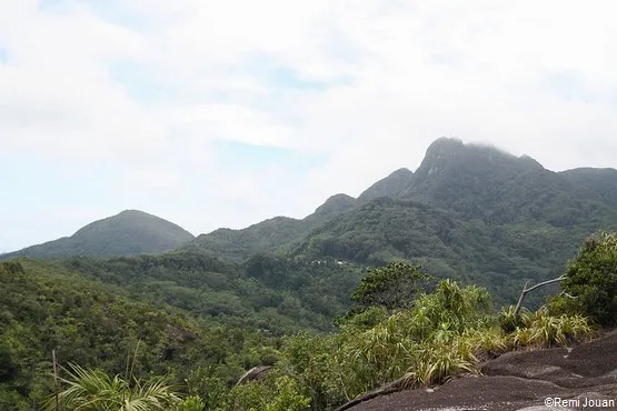 Morne Seychellois