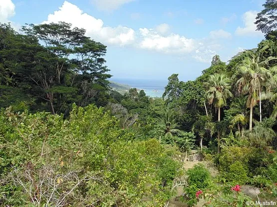 Jardin du Roi Seychelles