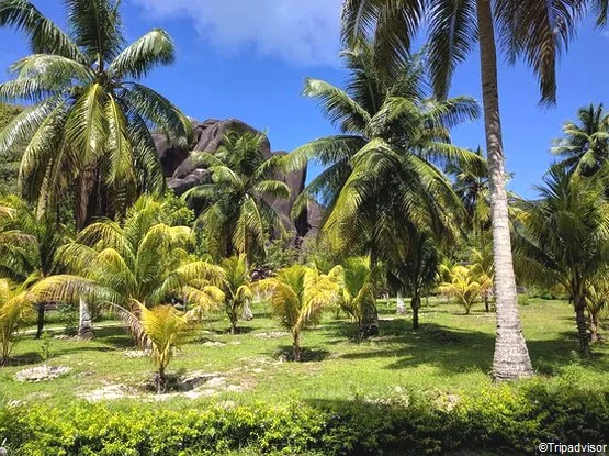park union estate seychelles