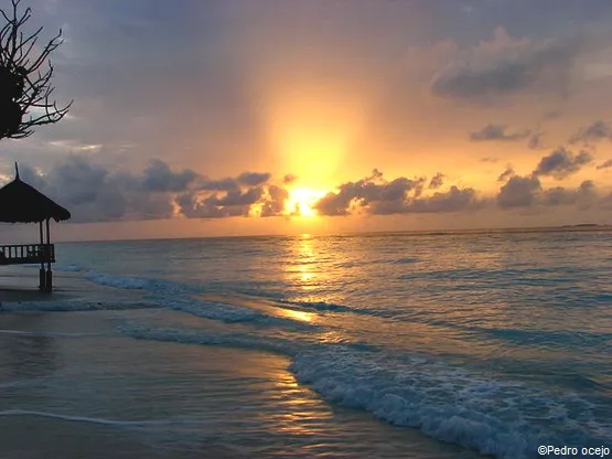 plage seychelles