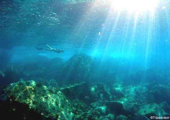 snorkeling silhouette