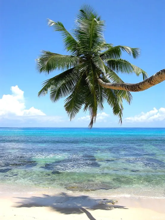 Anse Takamata