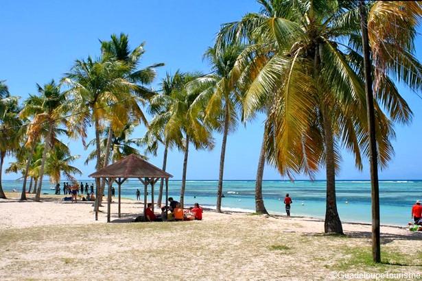 Découvrez Grand Bourg Sur Lîle De Marie Galante