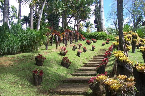 jardin botanique de balata