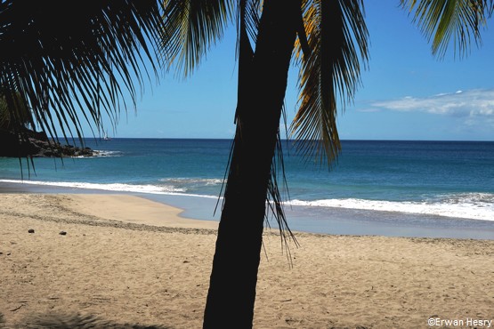 A Quel Moment De L Annee Partir En Guadeloupe