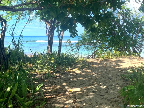 Randonnee Dans Le Marais De Port Louis En Guadeloupe