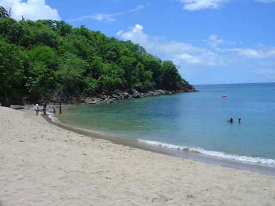 Partez à La Découverte De Pointe Noire En Guadeloupe