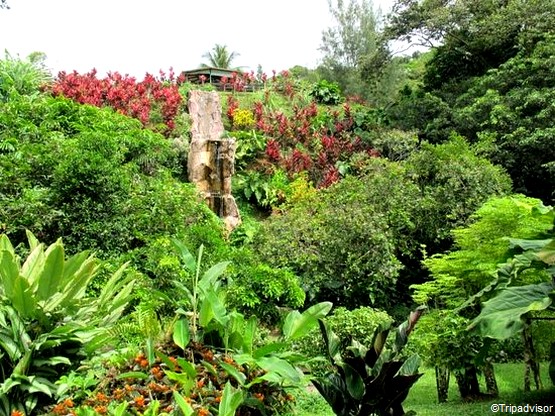 Guadeloupe Decouvrez Les Jardins De Valombreuse