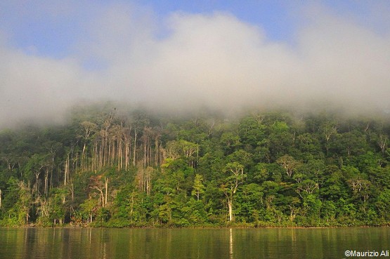 Découvrez le Parc National Amazonien de la Guyane