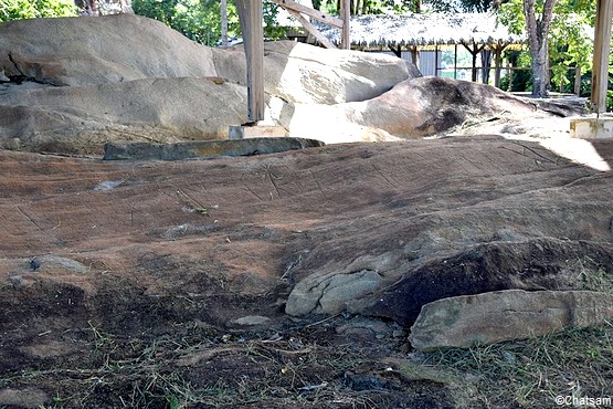 5 Visites Incontournables A Kourou En Guyane