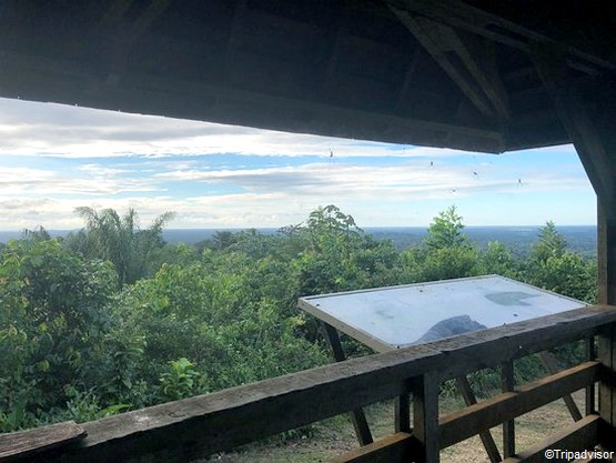 5 Visites Incontournables A Kourou En Guyane