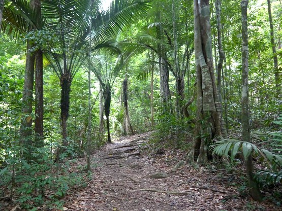 5 Visites Incontournables A Kourou En Guyane