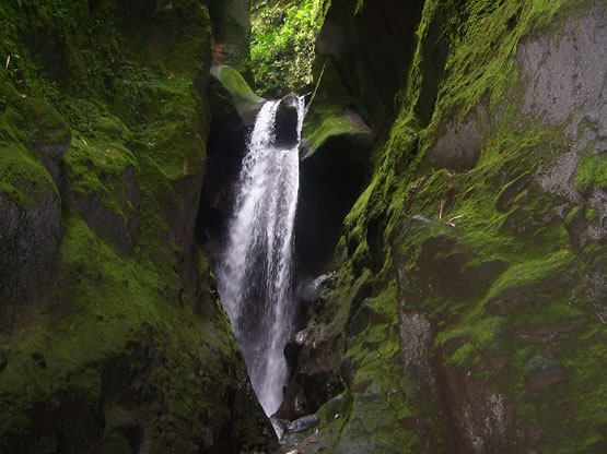 Gorges de la falaise en Martinique