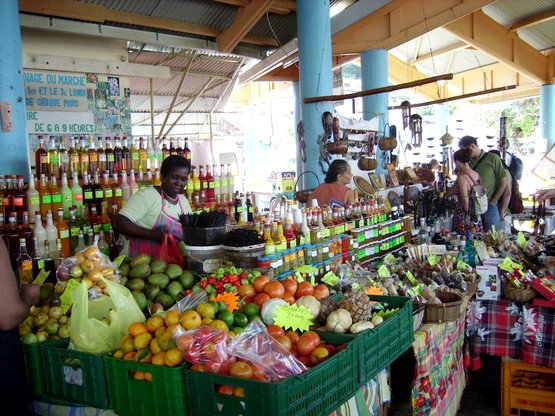 4 Idees De Visites A Sainte Anne En Martinique