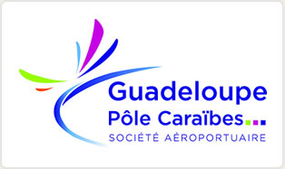 Location De Voiture A L Aeroport Guadeloupe Pole Caraibes Rentiles
