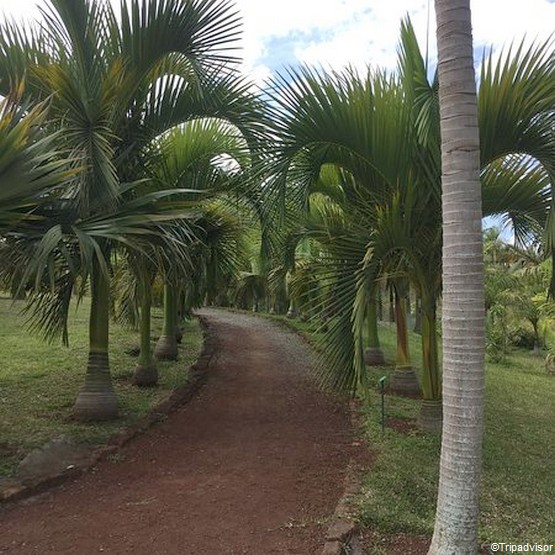 La Reunion Decouvrez 5 Visites A Faire Au Tampon