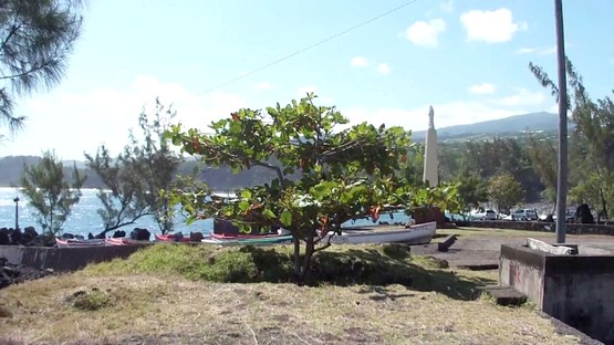 10 Visites Incontournables A Saint Joseph Sur L Ile De La Reunion