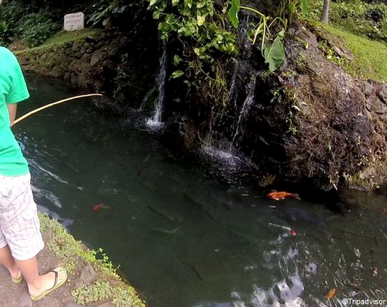 10 Visites Incontournables A Saint Joseph Sur L Ile De La Reunion