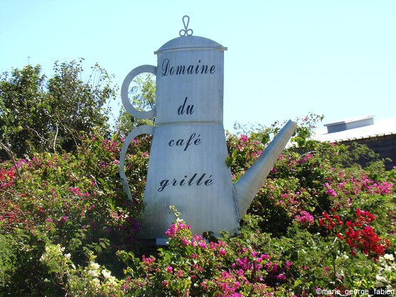 5 Endroits A Decouvrir Sur Saint Pierre A La Reunion