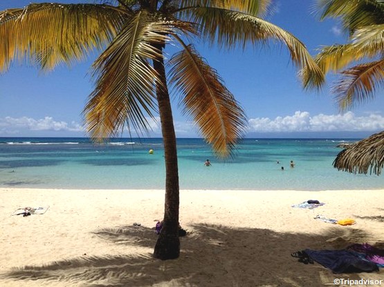 plage-anse-rocher