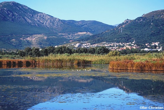 etang-biguglia