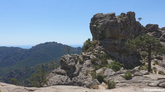 foret-granit-corse