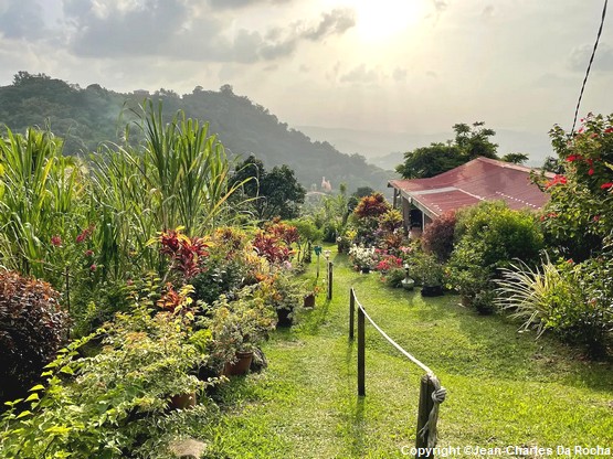 experience-jardin-martinique