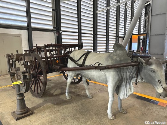 musee-la-reunion