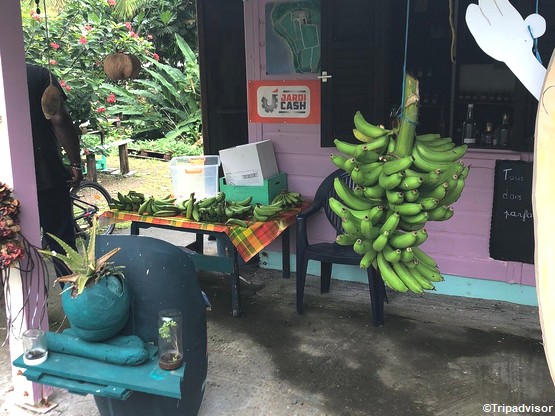 habitation-chalvet-bananes