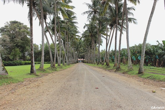 allee-habitation-pecoul