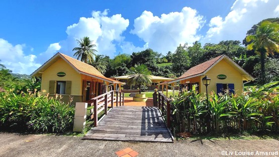 musee-banane-martinique