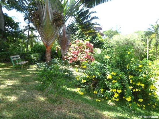 jardin-botanique