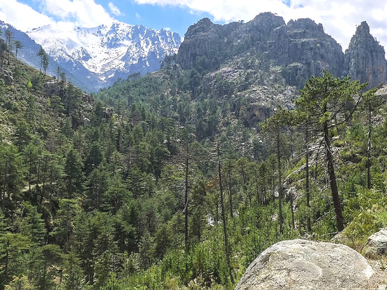 gorges-restonica-corse