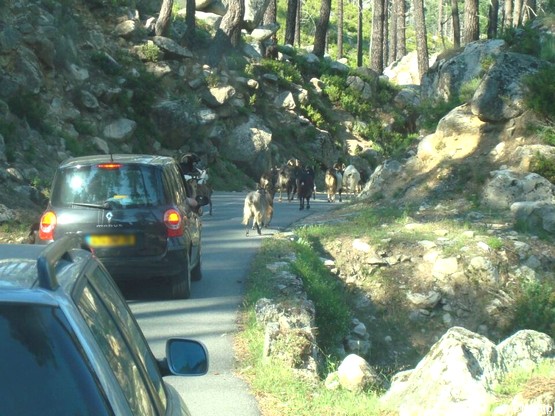 route-gorges-restonica