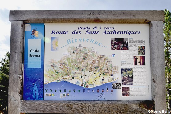 route-sens-authentiques