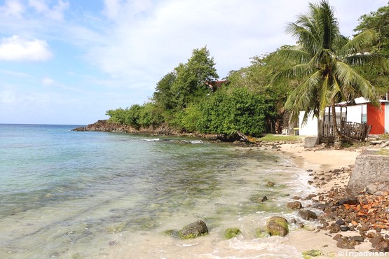 plage-gros-raisin