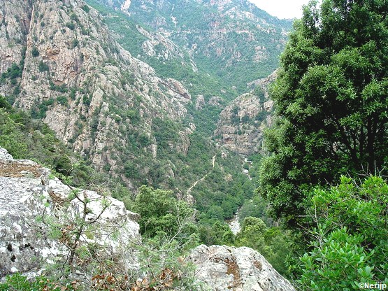 spelunca-gorges-corse